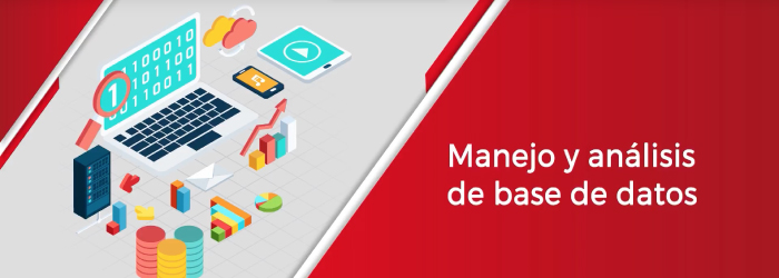 manejoanalisisbasesdedatos-700x250
